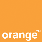 Orange LOGO pantone151